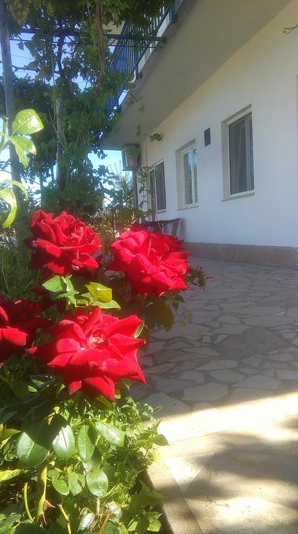 Apartments Nena Lozovac Exterior photo